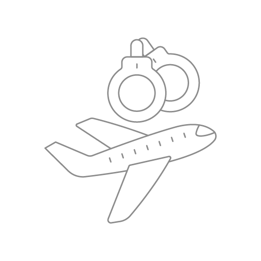 Unruly Passengers & On-Board Crimes